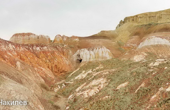Сегодня стартует ЕНТ